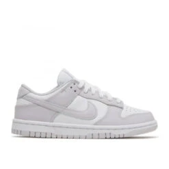Nike Dunk Low Venice (W) - DD1503-116