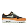 Nike Air Max 1 PRM Duck Anthracite - DZ0482-001