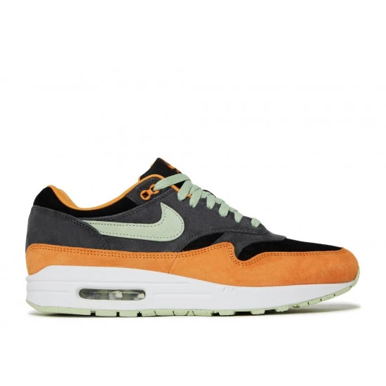 Nike Air Max 1 PRM Duck Anthracite - DZ0482-001 1 Nike Air Max 1 PRM Duck Anthracite - DZ0482-001
